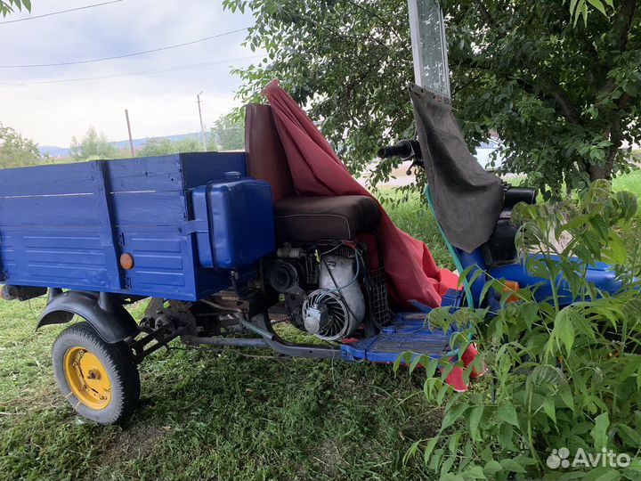 Муравей мотороллер