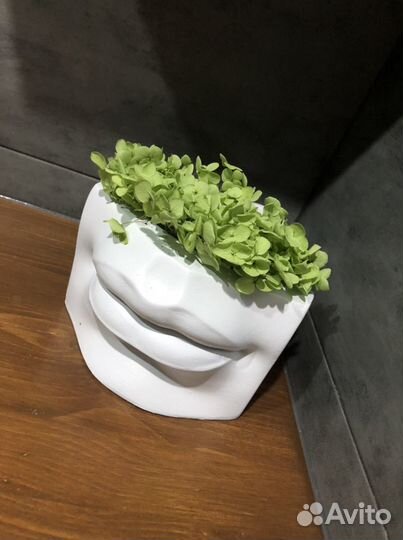 Кашпо «Губы Давида» со стабилизированным мхом