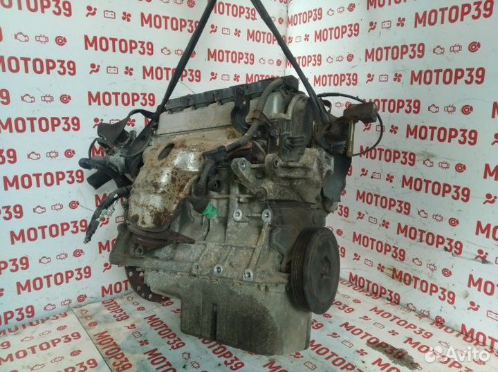 Двигатель Honda Civic 1.6 I D16V1 2003