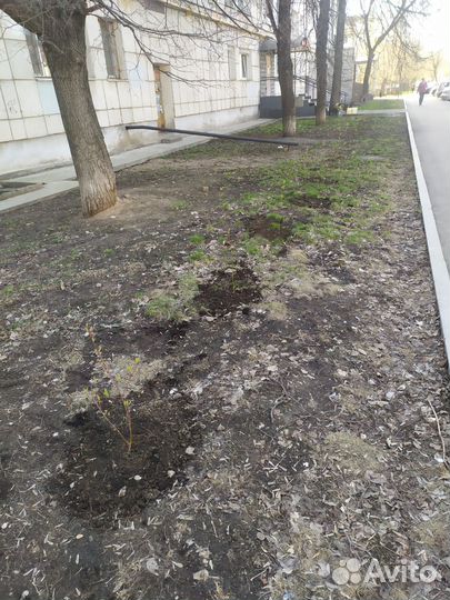 Озеленение и благоустройство