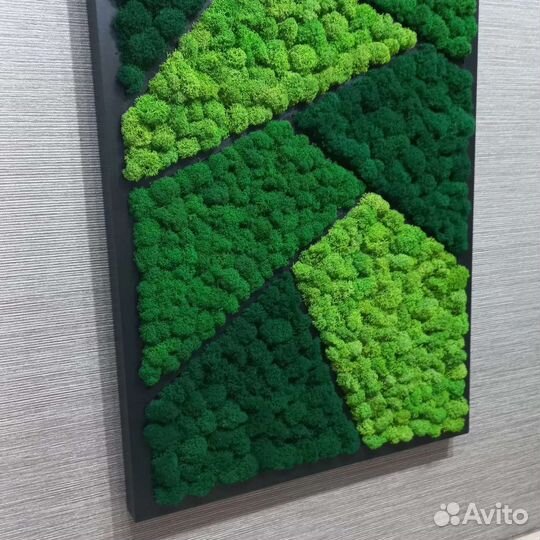 Стабилизированный мох панно