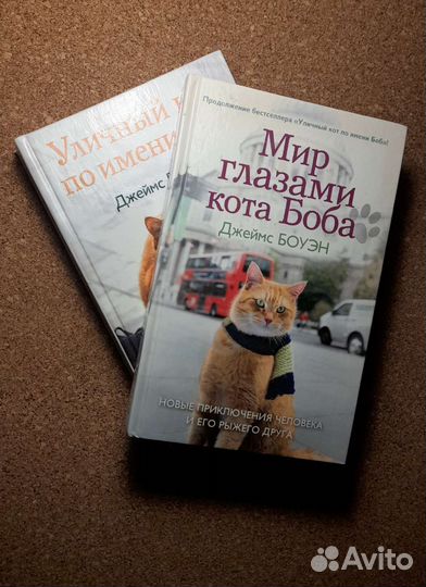 Уличный кот по имени Боб и Мир глазами кота Боба