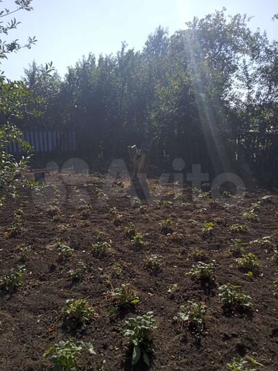 Участок 6 сот. (ИЖС)