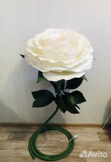 Ростовая роза