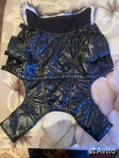 Одежда для маленьких собак