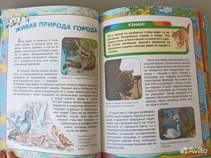 Первая энциклопедия школьника