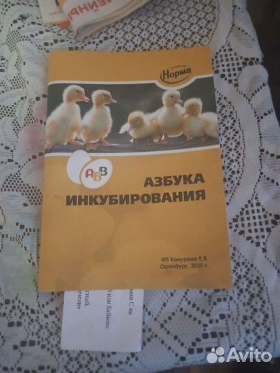 Инкубатор Норма парк 120 яиц