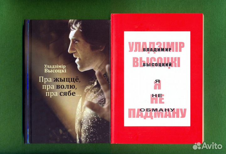Владимир Высоцкий. Книги. Биография