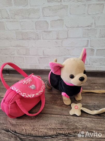 Собачка Чичилав; Chi Chi Love