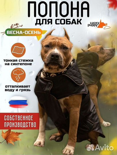 Попона для собак, куртка, комбинезон