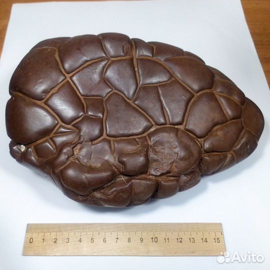 Киммерийцы. Cидерит. Камни. Крым