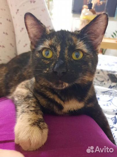 Девочка 10 месяцев