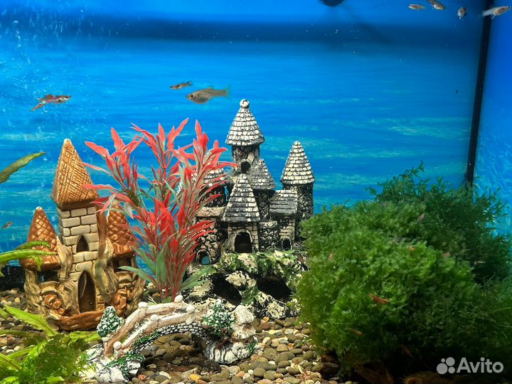 Аквариум Aquael 110л. С рыбками и растениями