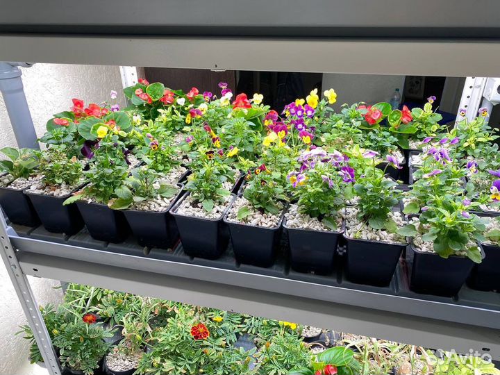 Наставничество в сфере ситифермерства