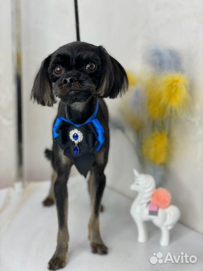 Стрижка животных