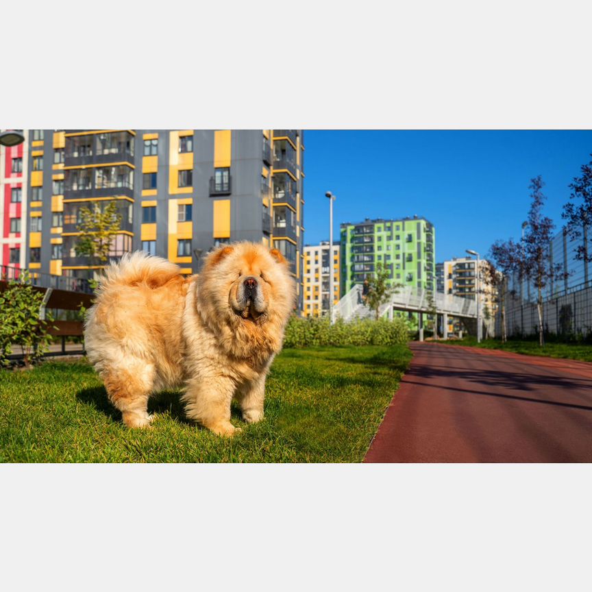 1-к. квартира, 39,2 м², 3/7 эт.