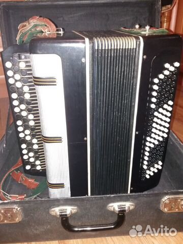 Баян вологодский