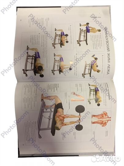 Анатомия наращивания мышц