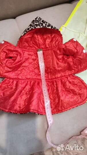 Одежда для собак