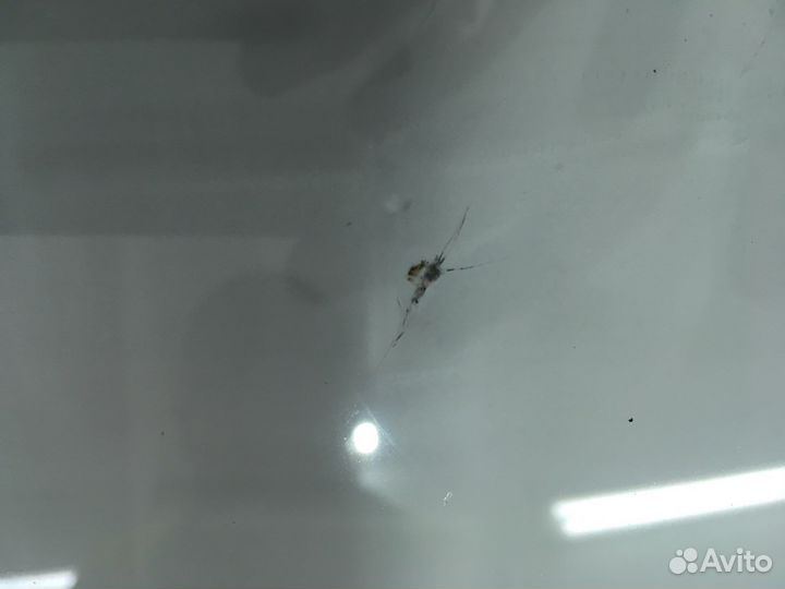 Лобовое стекло BMW X3