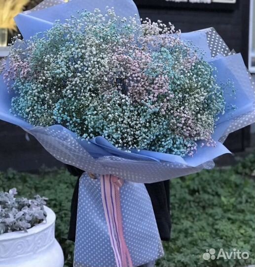 Цветы гипсофила букеты