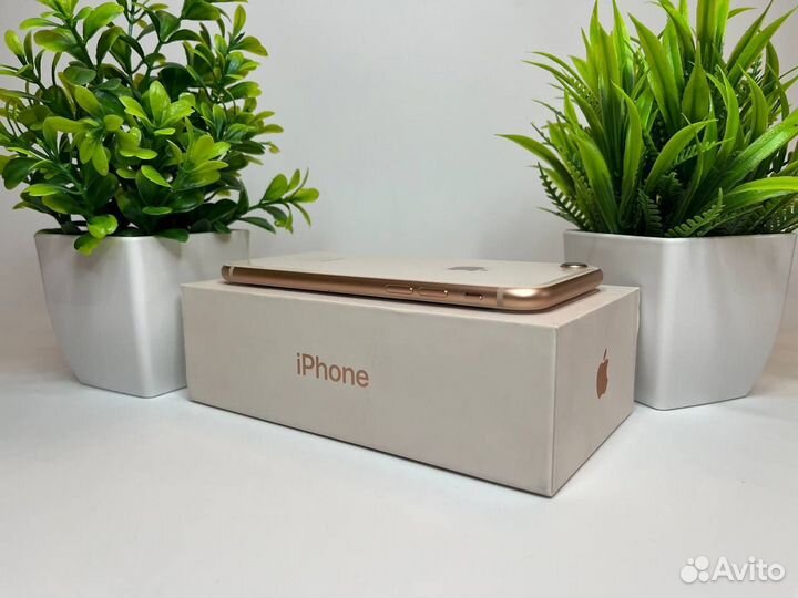 iPhone 8, 64 ГБ
