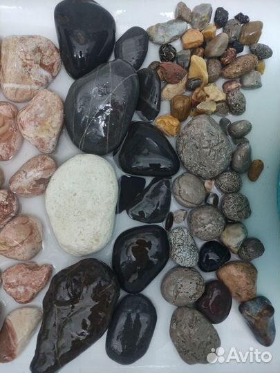 Галька морская камни мрамор песчаник розовый сланц