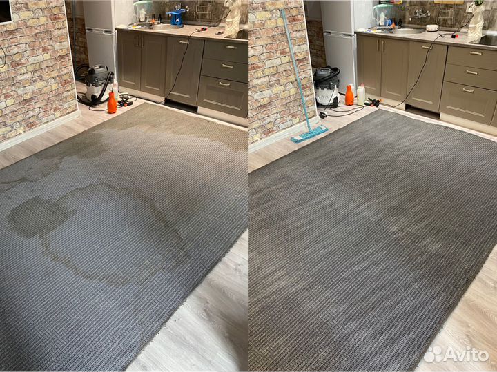 Аренда моющего пылесоса karcher