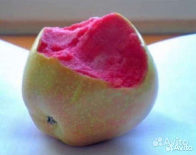 Яблони красномясые