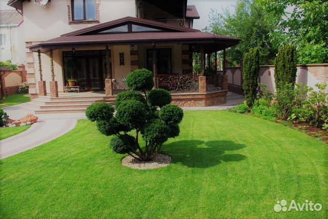 Газонная трава спортивная