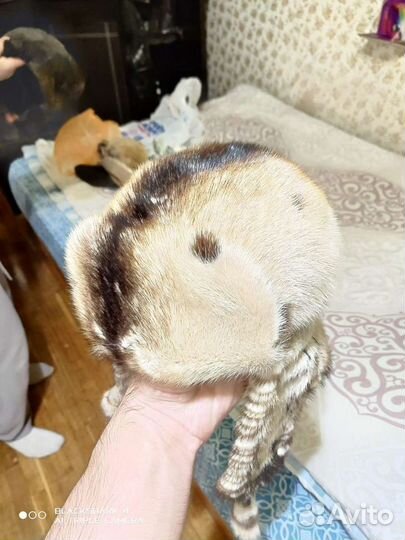 Шапки женские, норковый берет и тд