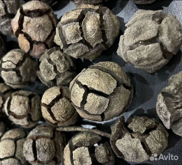 Шишки новогоднее