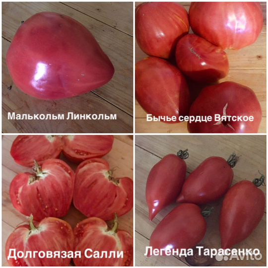 Семена коллекционных томатов