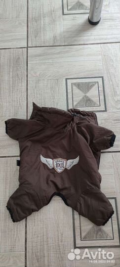 Одежда для собак пакетом