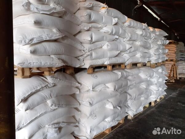 Семена тыквы неочищенные от прямого импортера