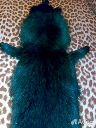 Шкура -чулок