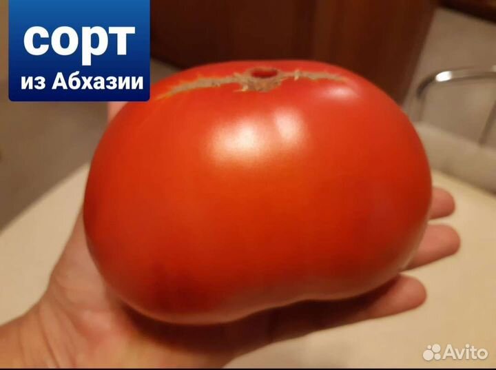 Семена свои самых вкусных помидор с СССР