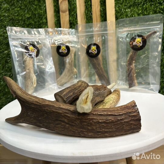 Лакомство для собак рога