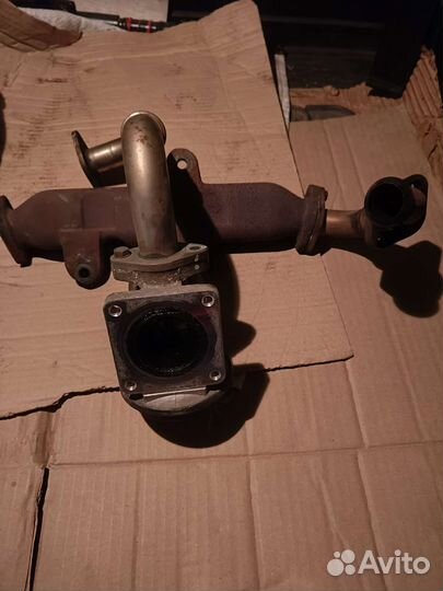 Егр Санг ssangyong Кайрон