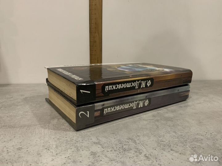 Достоевский Ф.М. Братья Карамазовы. Роман в 2 тома