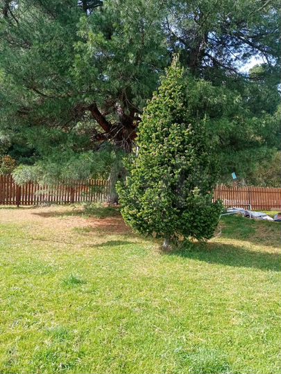 Участок 14,4 сот. (СНТ, ДНП)