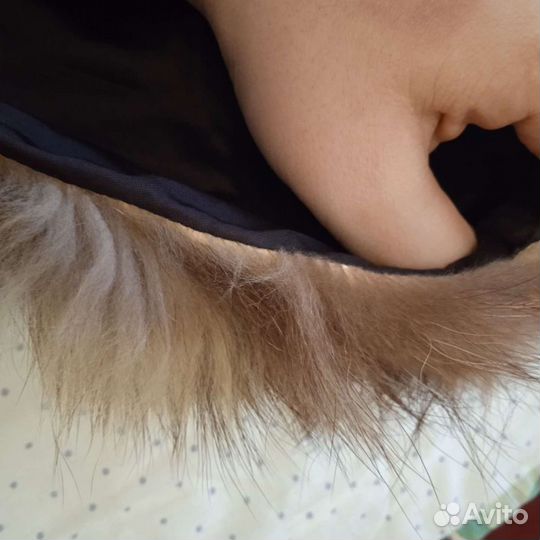 Меховой воротник