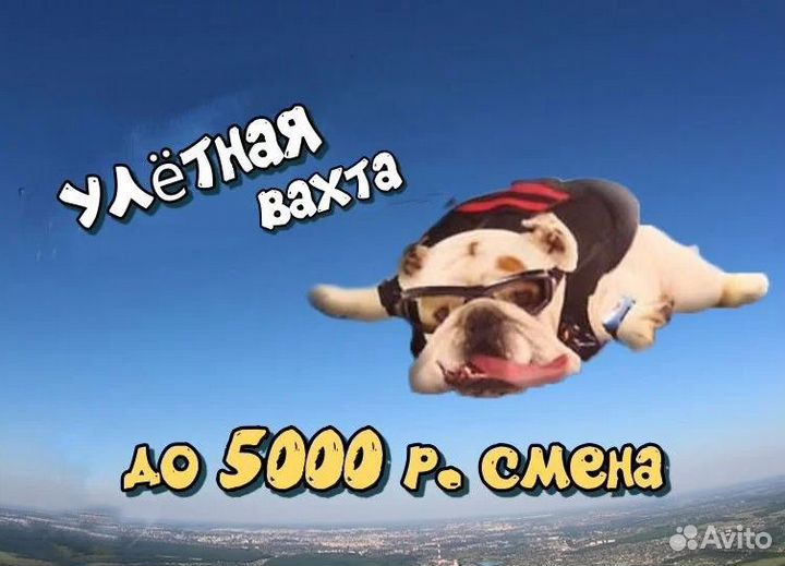 Работа вахтой с питанием и проживанием / Упаковщик