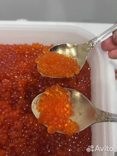 Икра красная 2023 горбуша, кета