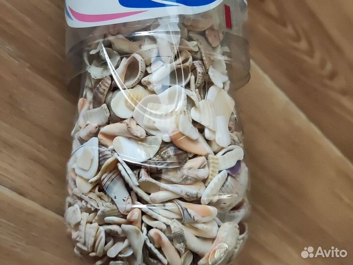 Ракушки черноморские