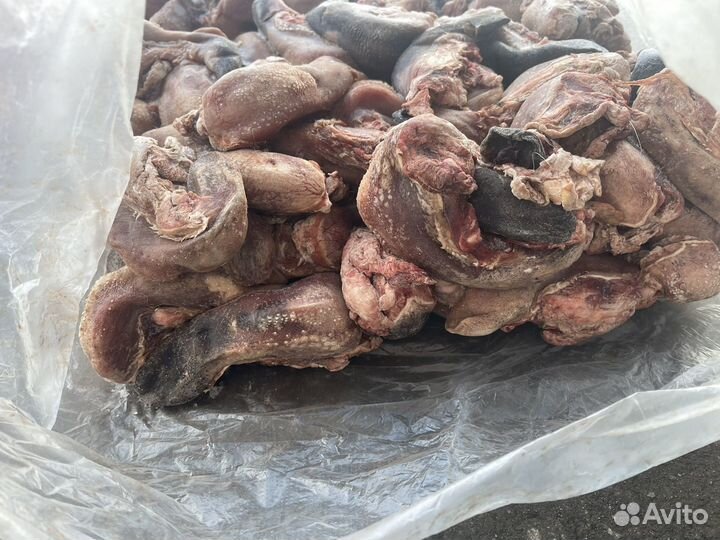 Мясо для собак