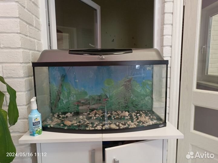 Аквариум на 80 литров