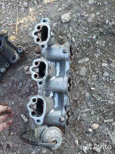 Коллектор впускной Nissan Maxima A33