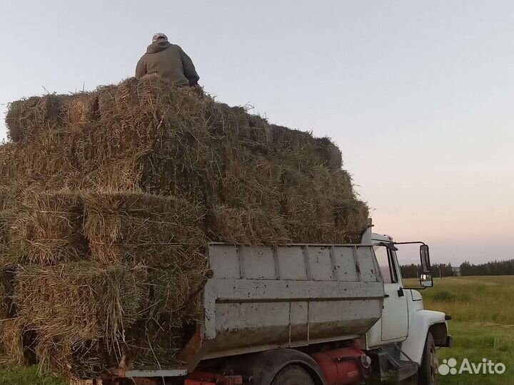 Услуги самосвала газ