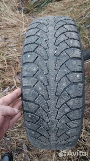 Accelera Gamma 195/65 R15